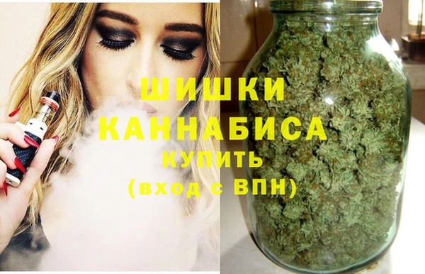СК Навашино