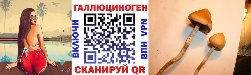 Галлюциногенные грибы ЛСД  Малаховка 